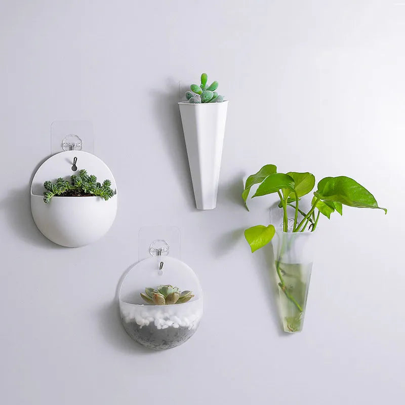 1PC Plastic Vase Hydroponic Wall Mounted Plant