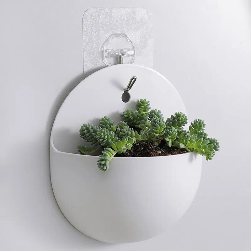 1PC Plastic Vase Hydroponic Wall Mounted Plant